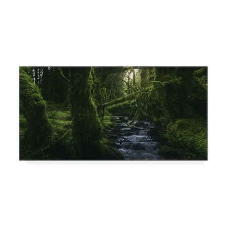 Javier De La 'Hidden Wood' Canvas Art,10x19